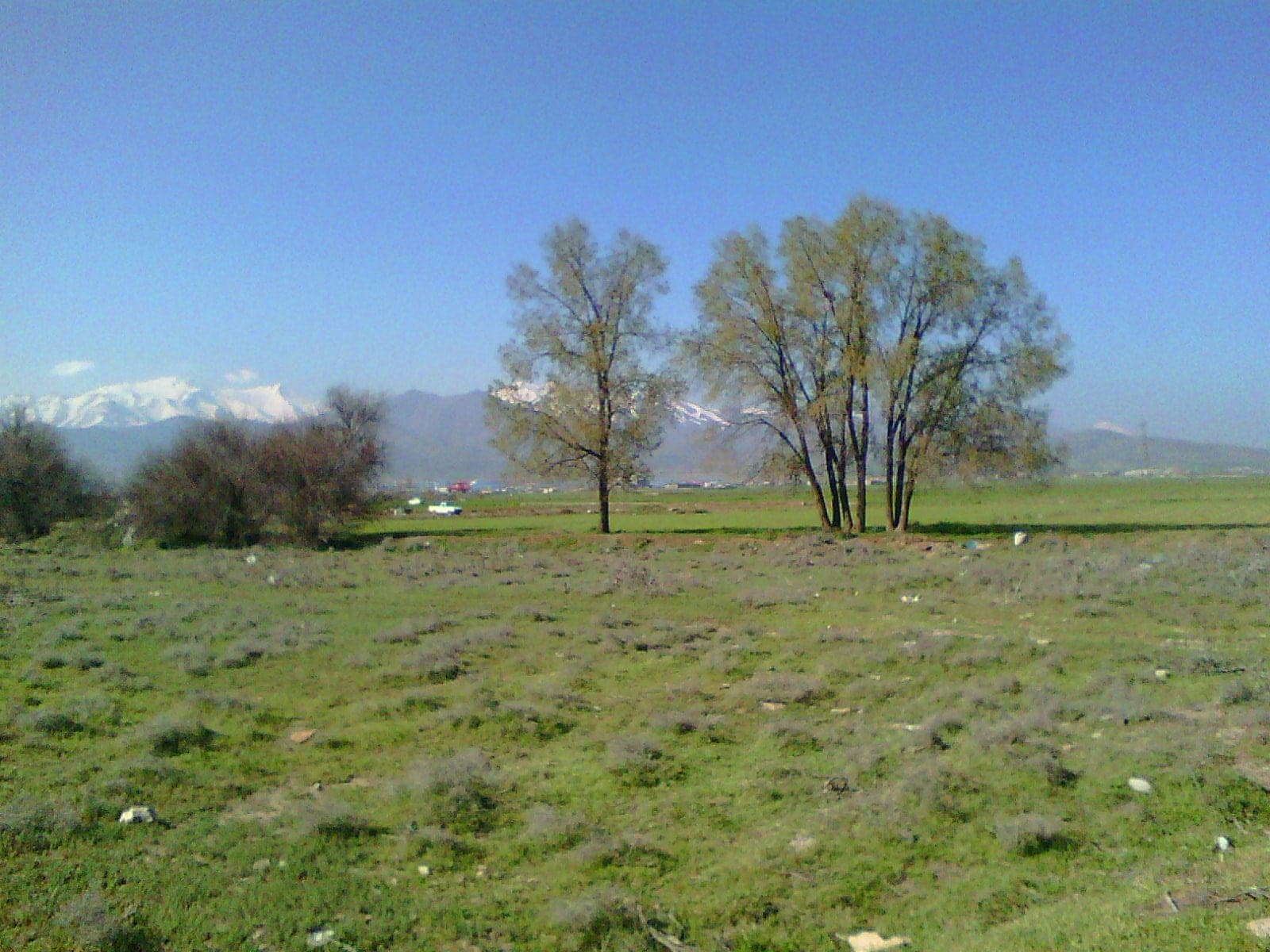 Alvand-Gebirge bei Hamadan