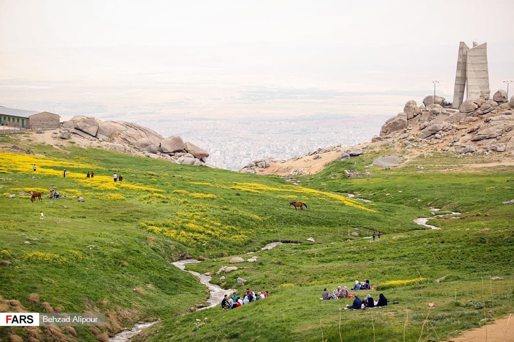 Felder der Mishan-Ebene