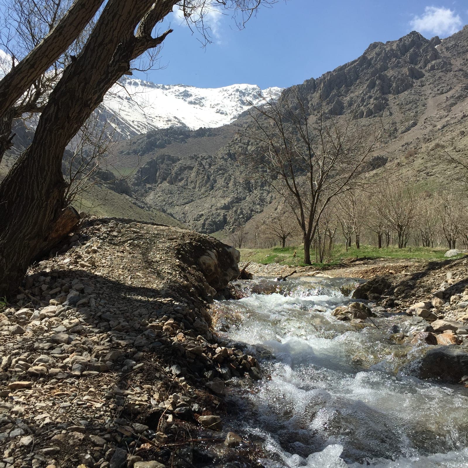 Faresban-Quelle bei Nahavand